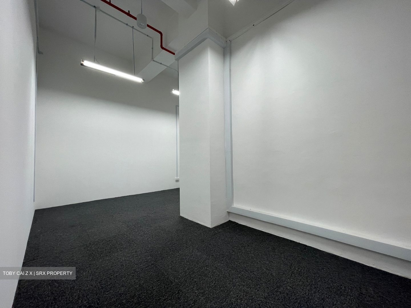 A'posh Bizhub (D27), Factory #454517161